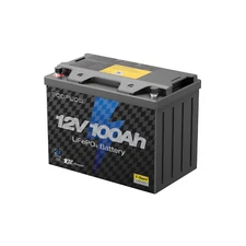 Lot of 100 EcoFlow 12V 100Ah LiFePO4 Deep Cycle Lithium Battery BMS for RVS