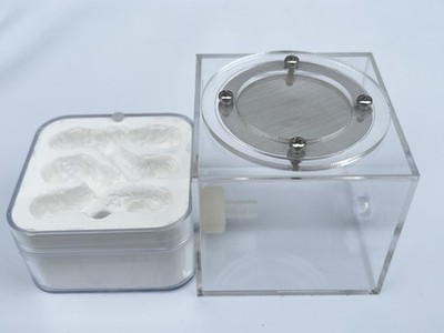 Ameise Acryl Gips Kombi Ameisennest Gehäuse Ameisenfarm Formicarium für Ameisenkolonie