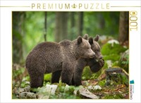 Calvendo Puzzle Brown Bears In Slovenia | 1000 Pieces, Finished Size 25.2 × 18.9