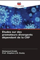 ÉTudes Sur Des Promoteurs Divergents DéPendant De La CRP Mohamed Elrobh (U. A.)