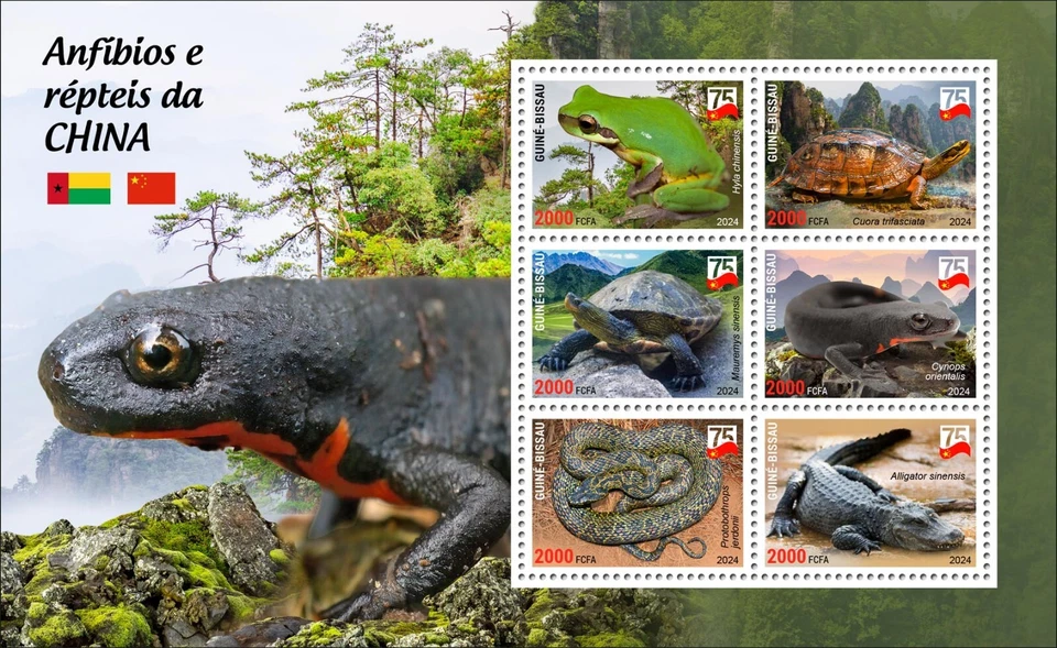 GUINEA BISSAU 2024 MS 6V - CHINA REPTILES - FROG TURTLE SNAKE CROCODILE NEWT MNH - Image 1 of 1