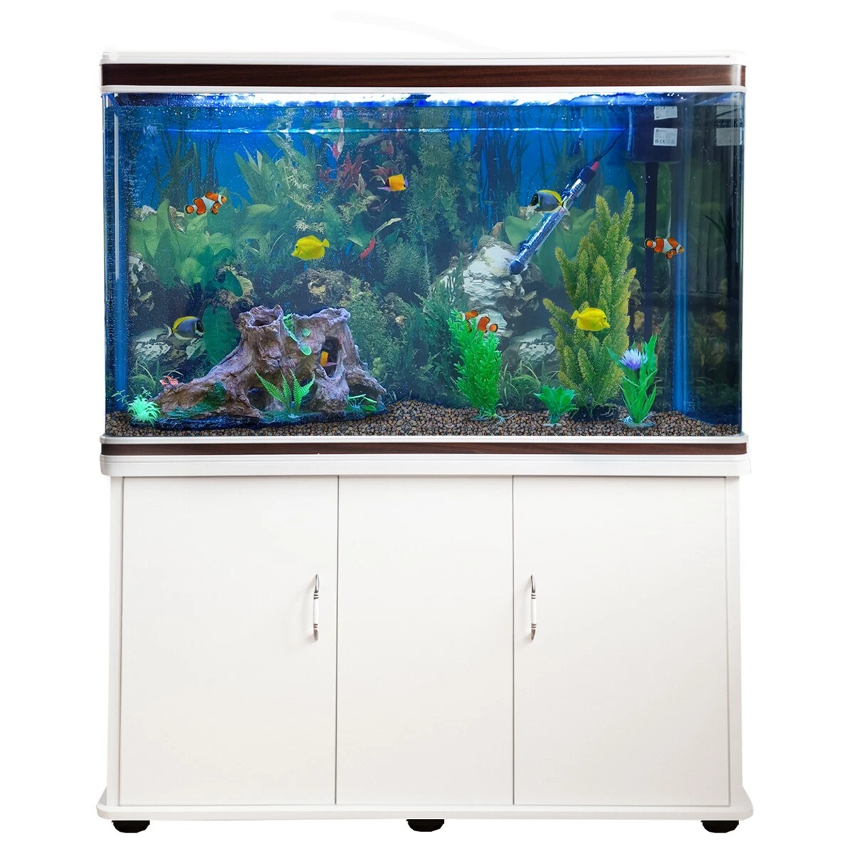 4ft clearance fish tank