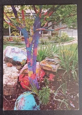 postcard art Jean Van Harlingen site specific sculpture Exploring Color Fusion