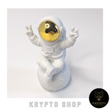 grande Crypto Moon Mission Spaceman astronauta figure sedute decorazione regalo NUOVO 