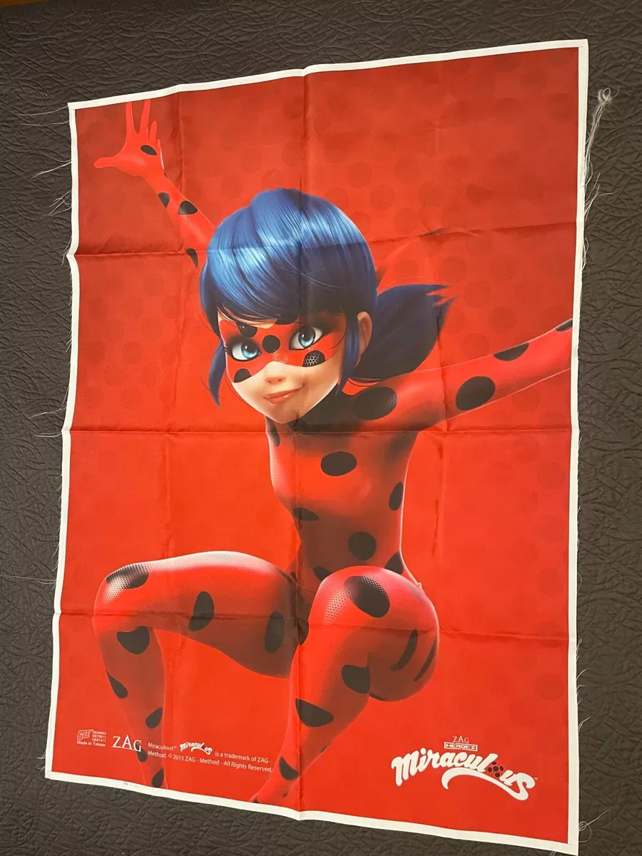 Books Before Good Looks: AINDA MAIS NOVIDADES MIRACULOUS LADYBUG (!!!)