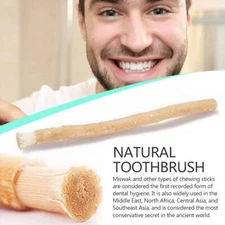 Miswak Natural Toothbrush Pilu Miswak Chewing Stick Meswak.