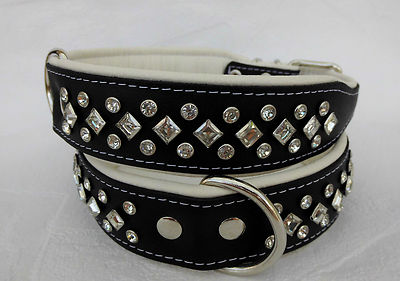 WINDHUND Lederhalsband Mit Kristallen – Halsumfang 33–38 Cm, 60 Mm Breit, Schwarz-weiß