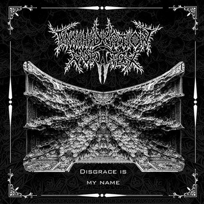 ANNIHILATION VORTEX (pl) - Disgrace Is My Name - CD - DEATH METAL