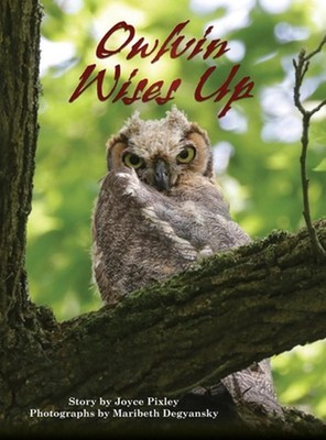 Owlvin Wises Up by Joyce Pixley Hardcover Book