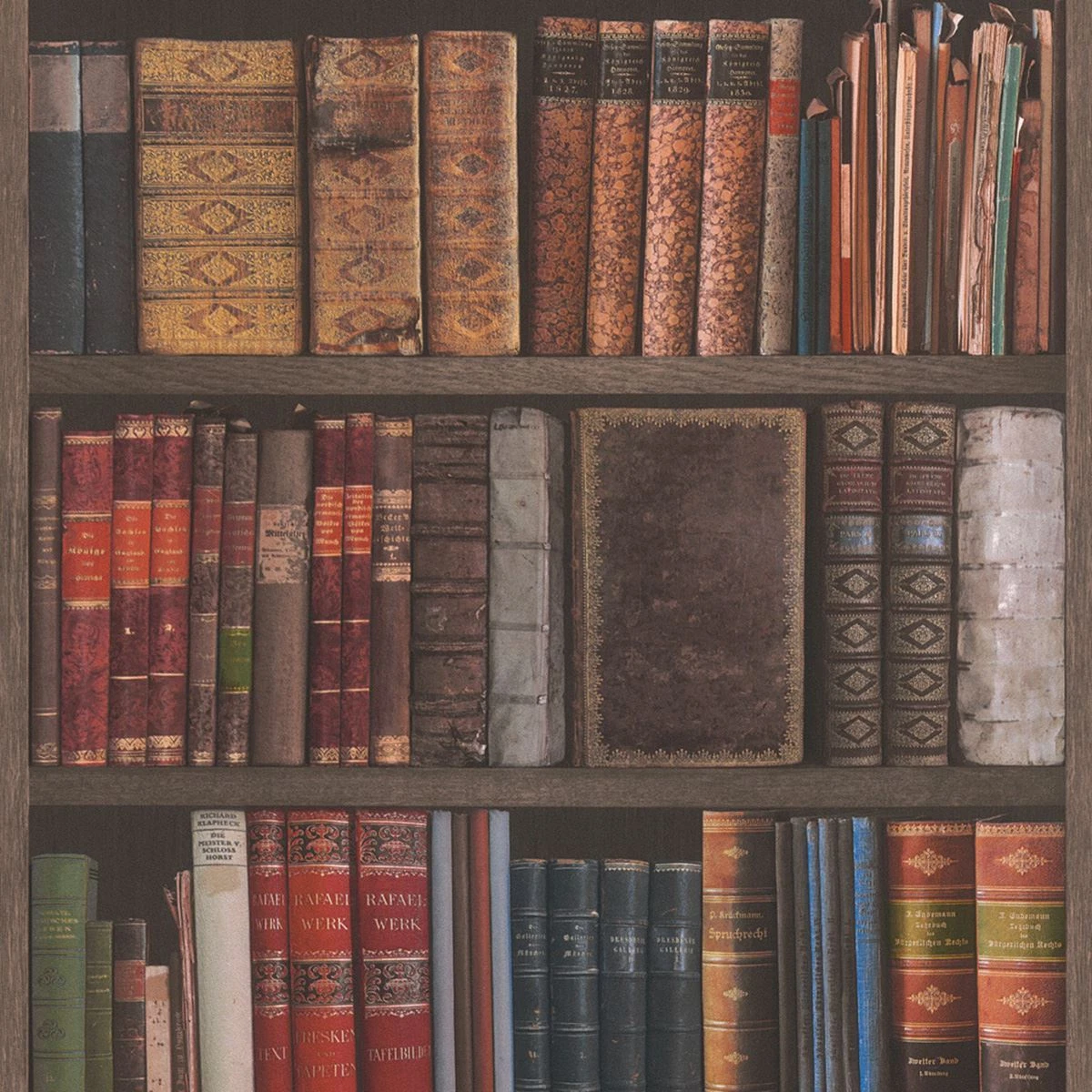 LIBRARY BOOKS WALLPAPER BOOKCASE BOOKSHELF WALL PAPER RASCH 934809