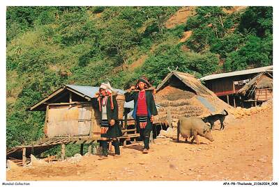 APAP8-0454 - THAILAND - Thai Hill Tribe - Ökoh - Häuser und ihre Haustiere - Norden