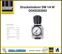 Schneider Druckminderer 0-12 Bar Dm 1/4 W DGKD202002 Mit Manometer