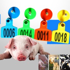 100PCS Number Large Ear Tag Animal Goat Sheep Pig Cow Cattle Livestock Labels