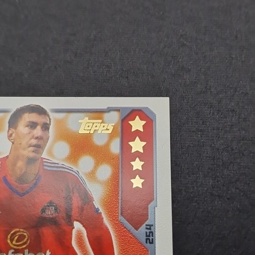 Hoja limpia Topps Match Attax Costel Pantilimon 254 2015/2016 Sunderland A.F.C. - Imagen 8 de 15
