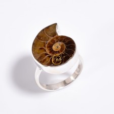 Ammonite Fossil Ring 925 Sterling Silver Handcrafted Ammonite Rings Jewelry