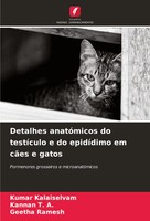 Detalhes AnatóMicos Do TestíCulo E Do EpidíDimo Em CãEs E Gatos Taschenbuch 2024