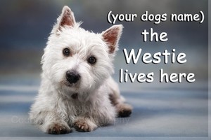 personalised westie gifts