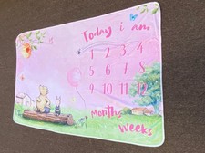 Vintage Baby Girl Winnie The Pooh And friends Milestone Blanket 59.5  x 40.5  