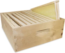 10-Frame Medium Super Kit, Fully Assembled 6⅝" Super Box with 10 Durable Frames