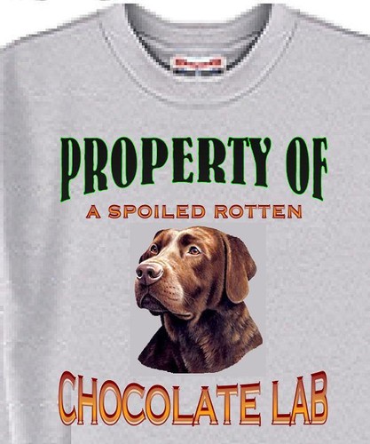 Dog T-Shirt Men Women- Property of a Spoiled Rotten Chocolate Lab - Short Sleeve - Picture 4 of 6