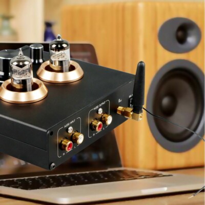 BRZHIFI 6J5 Tube Preamp Headphone Amplifier DAC Bluetooth 5.0 Assembled pe66