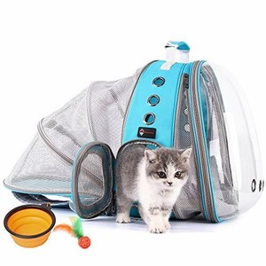 clear cat backpack