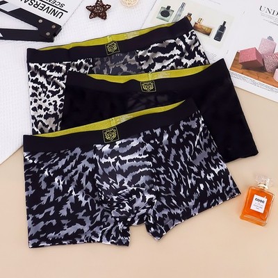 Men's Ice Silk Boxer Briefs Skin Friendly Mesh Sexy Panties Sport Underpants
