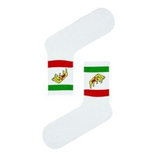 Pizza Slice Sports Socks/Gift Socks/Funny Socks/Cute Socks/Unisex Sock