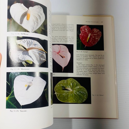 Breeding Anthuriums in Hawaii 1996 Book Kamemoto Cultivation Tropical Plants - Picture 10 of 12