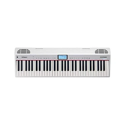 Roland GO:PIANO with Alexa Built-in GO-61P-A 61-key EMS w/ Tracking NEW