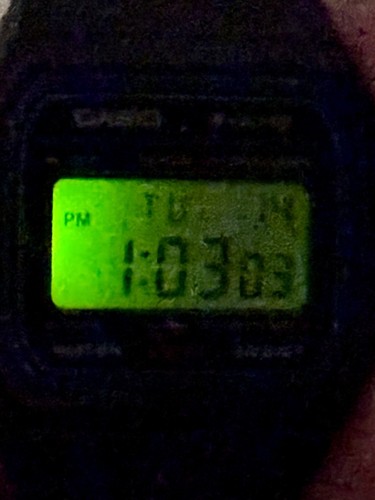 Casio Digital Alarm Chronograph F-91W Men’s Watch - Picture 7 of 9