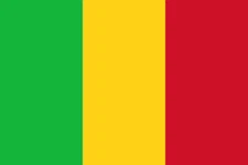 (NOT A PATCH) Mali Country Flag HTV Heat Transfer Vinyl Iron On 