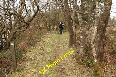 Foto 12x8 The Southern Upland Way Bargrennan mit Wegmarker und einem Wanderer c2015