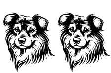 Border Collie - 2 PK Black Vinyl Graphic Decal Car Truck Windows Laptop Notebook