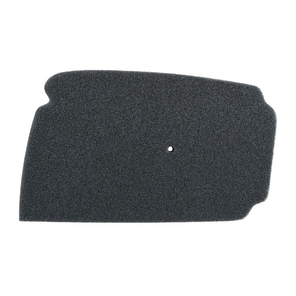 Scooterlibre Luftfilter Schaumfilter (FüR: Honda Sj 50 Bali AF32 93-00 )-image