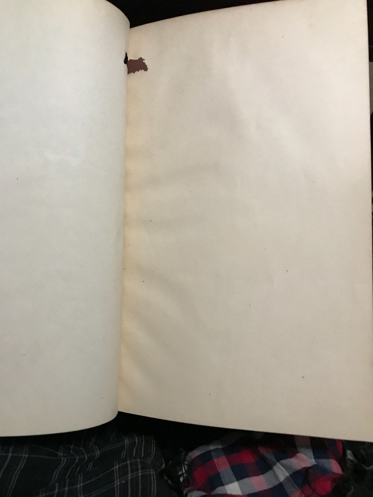 Picture 6 of 11