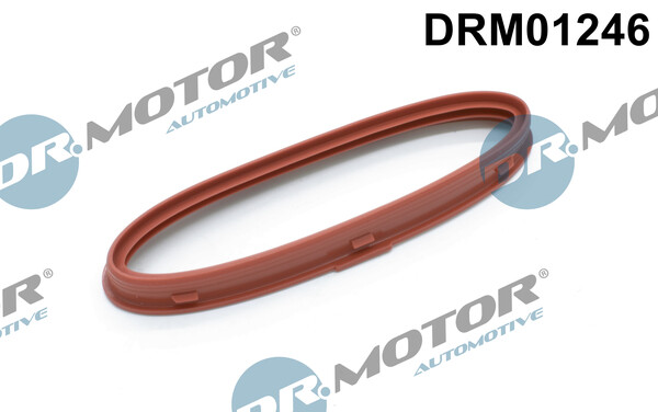 Dr.Motor Automotive DRM01246 Dichtungsring FüR MERCEDES-BENZ LadeluftküHler-image