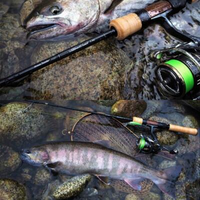 Daiwa Reel Ballistic 2019 FW LT2500S-CXH 2500S-CXH 4960652274418| eBay