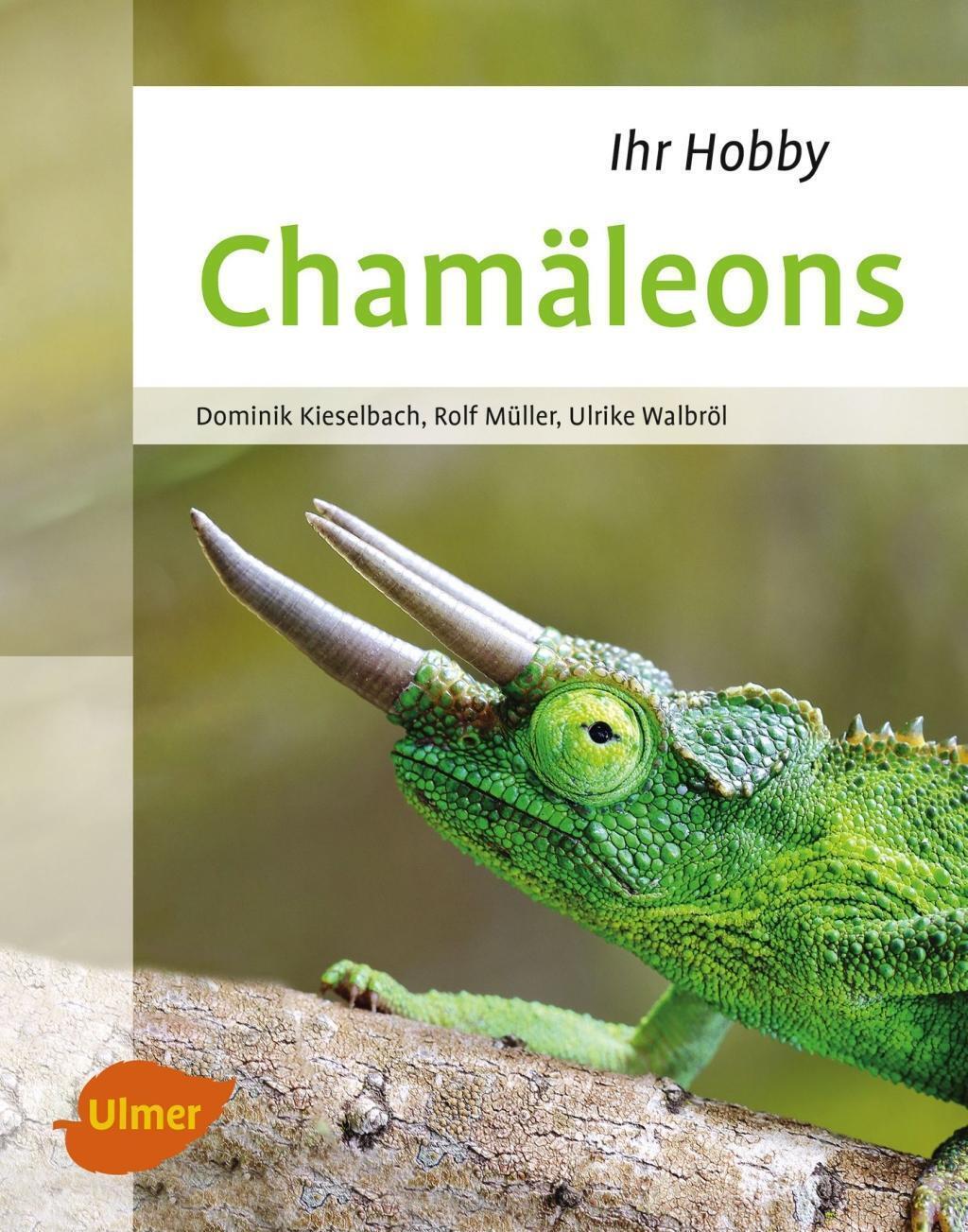 Thumbnail - Chamäleons | Dominik Kieselbach (u. A.) | Deutsch | Buch | 96 S. |