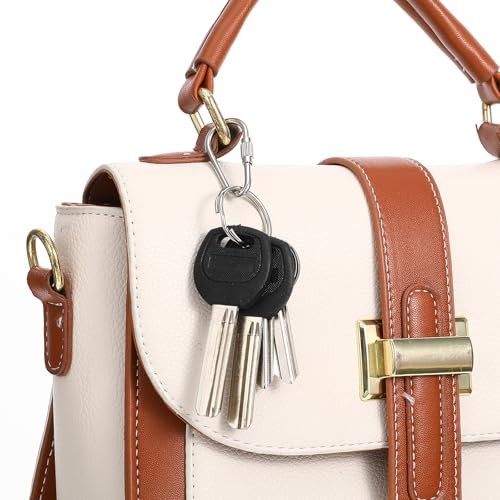 20 Pcs Heavy Duty Stainless Steel Quick Link, Metal Mini Locking Carabiner 