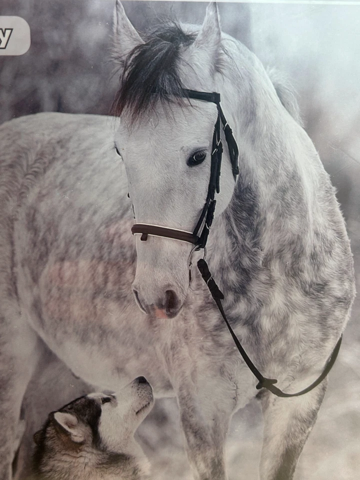 Rompecabezas Caballo con Lobo 1000 Piezas - Blanco y Negro Difícil Puzzle - 700 x 500mm Foto 4 de 4