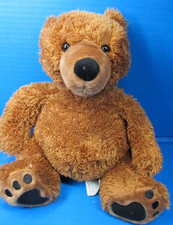 Kohls Cares Plush Bear "Has A Story To Tell " 12.5" Brown Bear 2012 Sewn Eyes