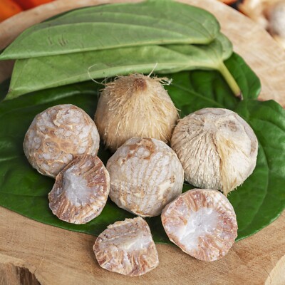 Fresh Young Betel Nuts Areca Catechu Nut from Ceylon Limestone Paste