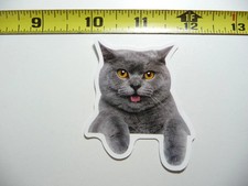 GRAY CAT SMALL STICKER DECAL FELINE PET HOUSE KITTEN FUNNY