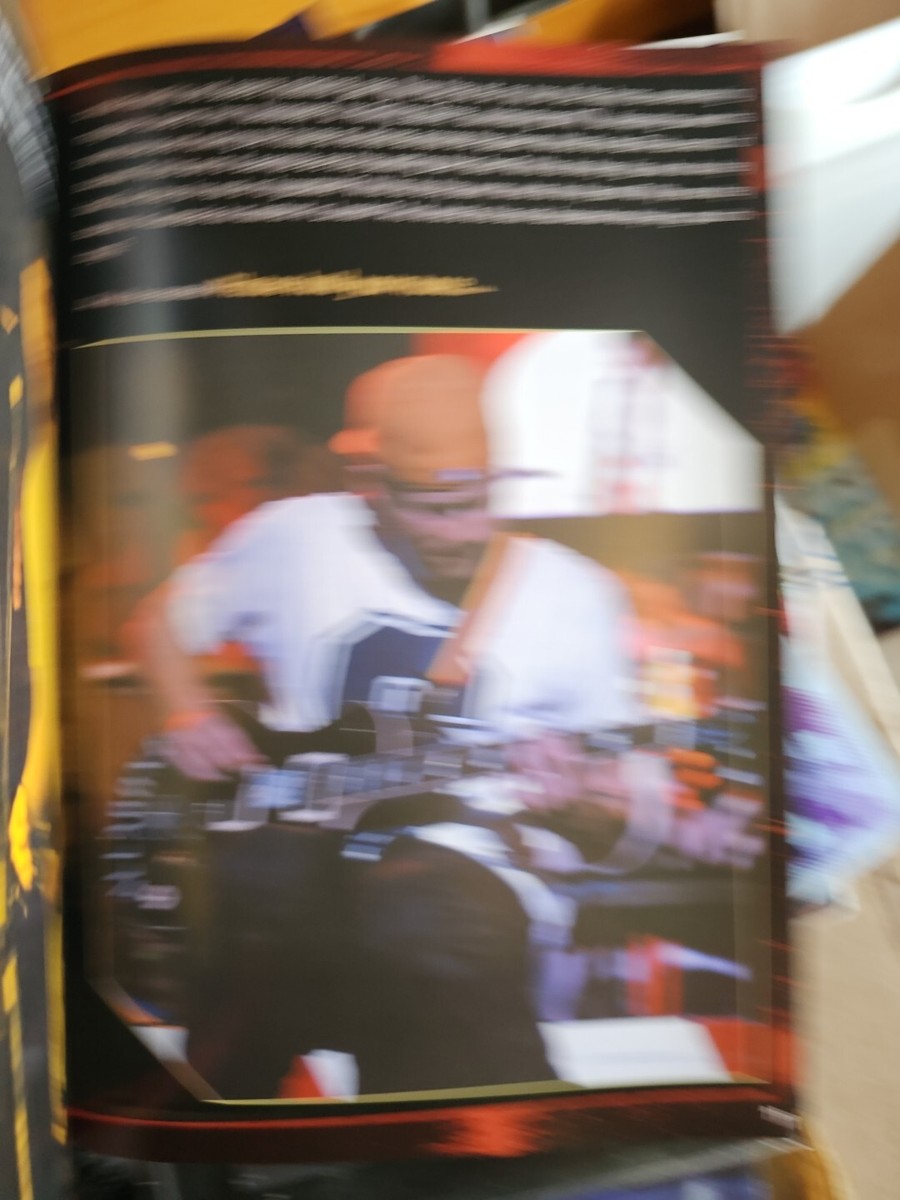 BLINK 182: THE UNAUTHORISED BIOGRAPHY IN WORDS AND By Tim Footman