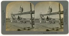 Egypt Assuan EGYPTIAN SAWMILL 1908 Stereo Travel Stereoview steg_096