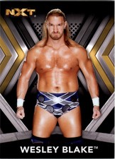 2017 Topps WWE NXT #34 Wesley Blake - WWE