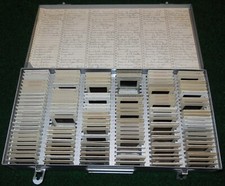 149 35mm Slides 1950's-1960's Iowa in a Metal Logan Photo Box/Case Vintage