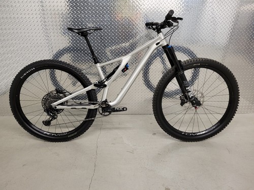 2019 Specialized Stumpjumper Evo S2 