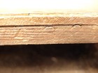 Bild 8 von 9